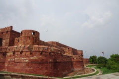 Agra_20180721_0018